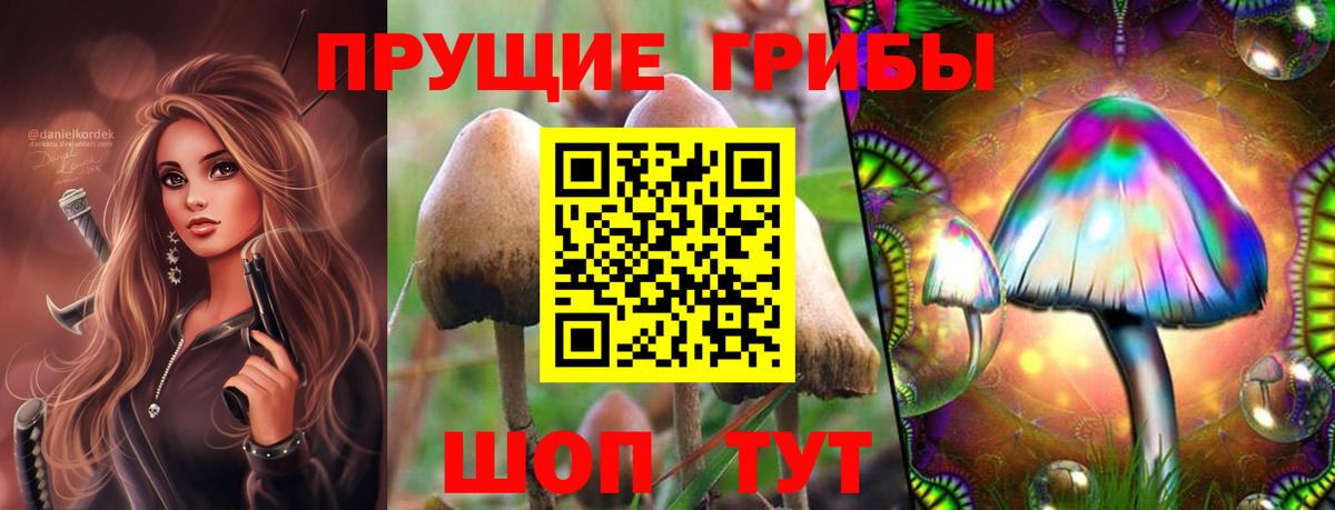Чебоксары  Галлюциногенные грибы мицелий  Вход с VPN  Галлюциногенные грибы Cubensis 