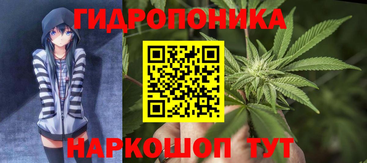 Чебоксары  Бошки Шишки ГИДРОПОН  Каннабис планчик  Бошки марихуана индика  Вход с VPN 